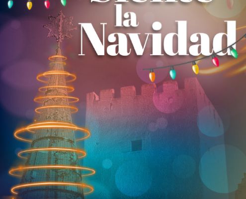 Programa Navidad 2024