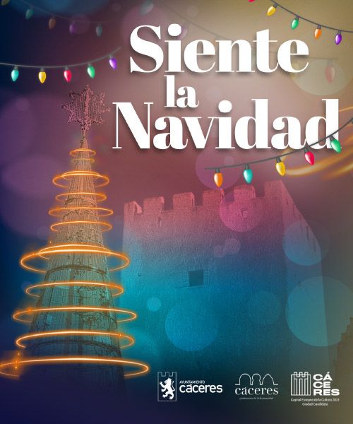 Programa Navidad 2024